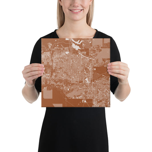 Phoenix Brown and White Canvas Map