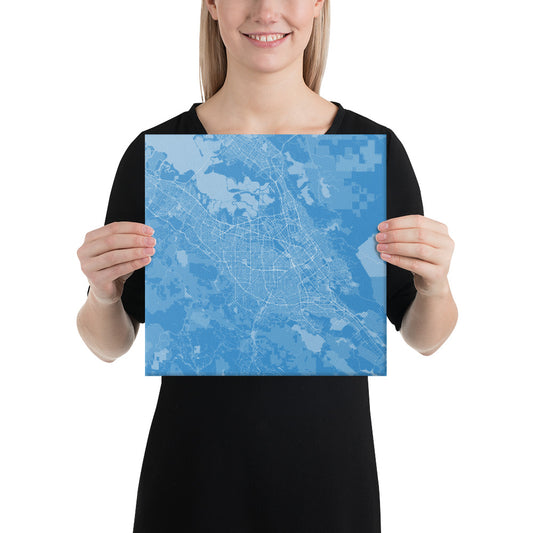 San Jose Blue and White Canvas Map