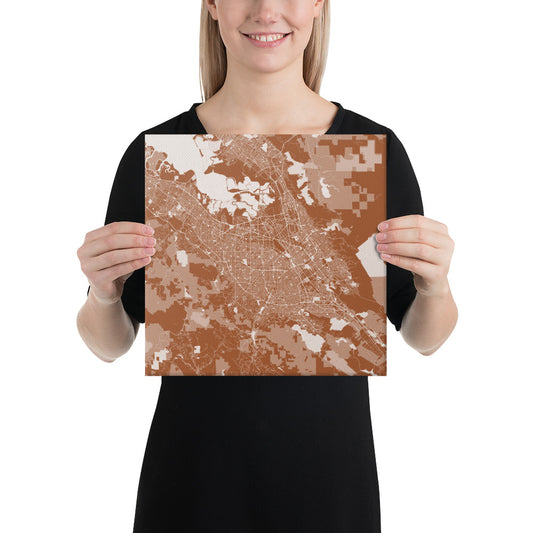 San Jose Brown and White Canvas Map