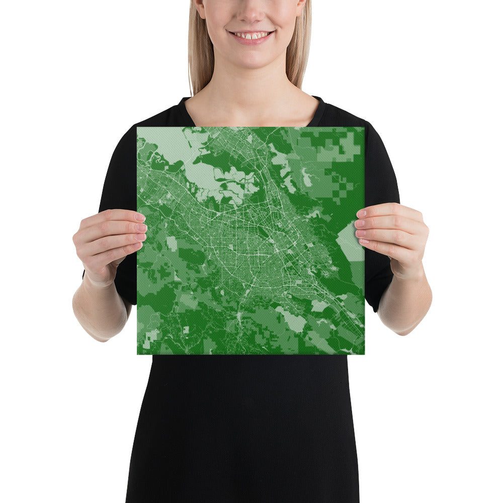 San Jose Green and White Canvas Map