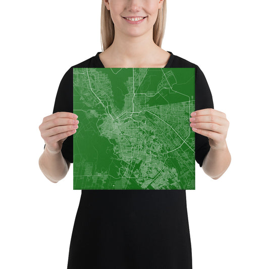 El Paso Green and White Canvas Map