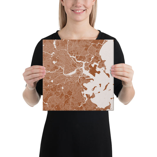 Boston Brown and White Canvas Map