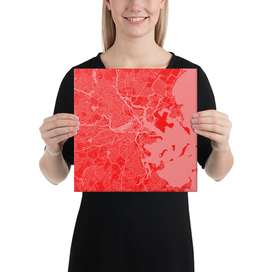 Boston Red and White Canvas Map