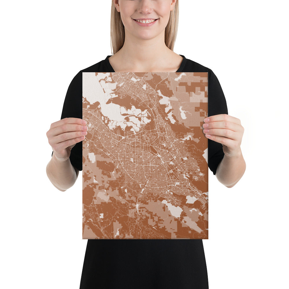 San Jose Brown and White Canvas Map