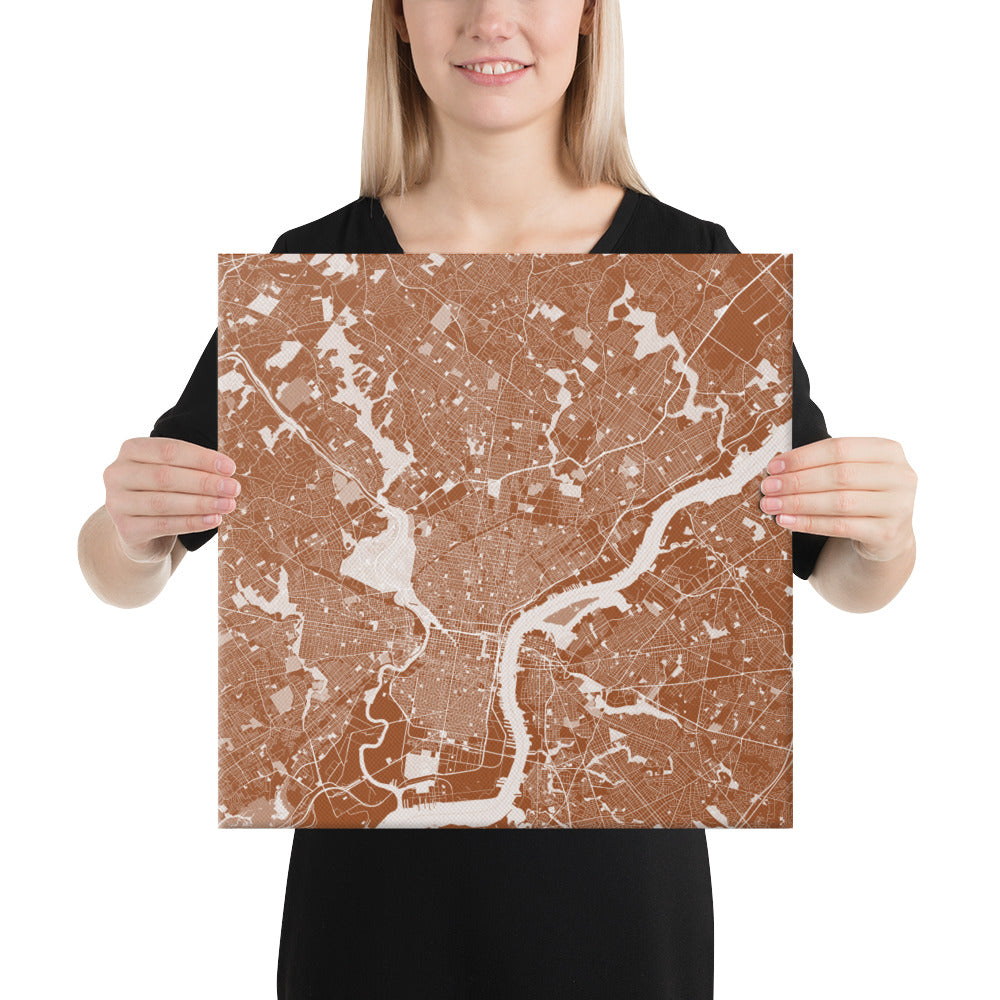 Philadelphia Brown and White Canvas Map