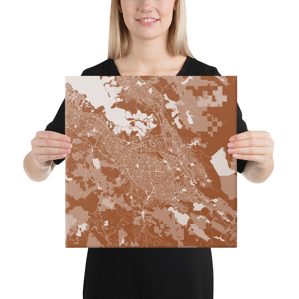 San Jose Brown and White Canvas Map