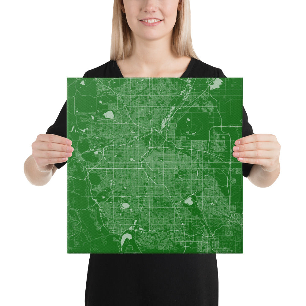 Denver Green and White Canvas Map