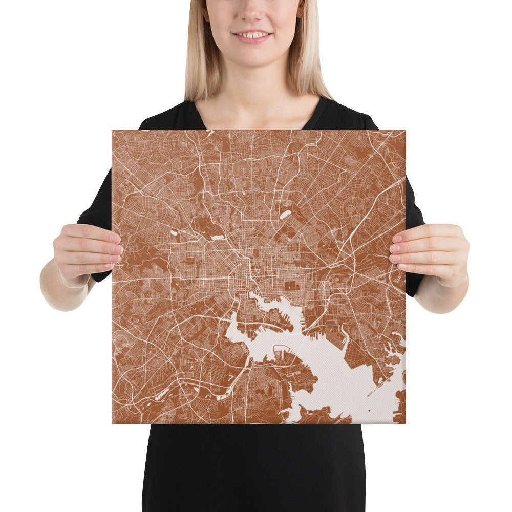 Baltimore Brown and White Canvas Map