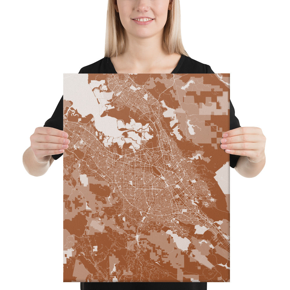 San Jose Brown and White Canvas Map