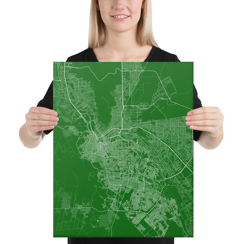 El Paso Green and White Canvas Map