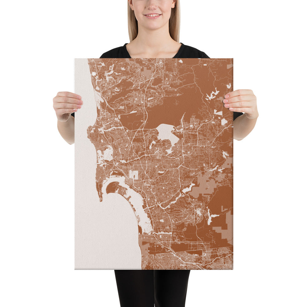 San Diego Brown and White Canvas Map