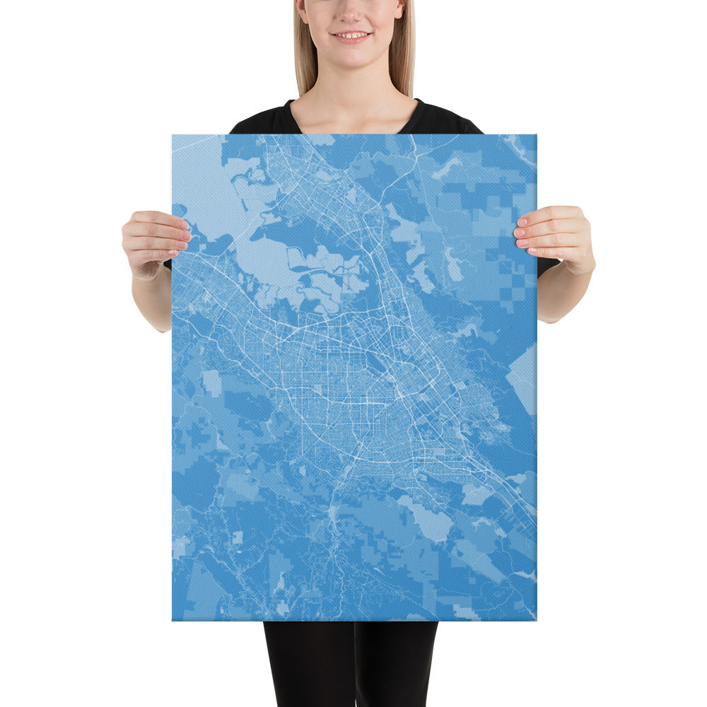 San Jose Blue and White Canvas Map