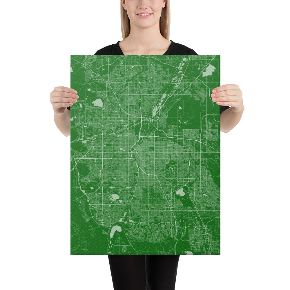 Denver Green and White Canvas Map