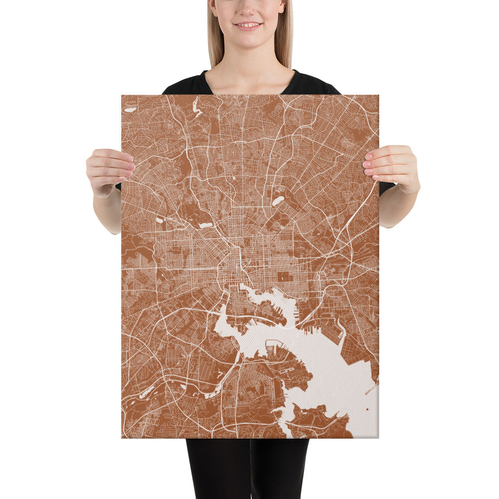 Baltimore Brown and White Canvas Map