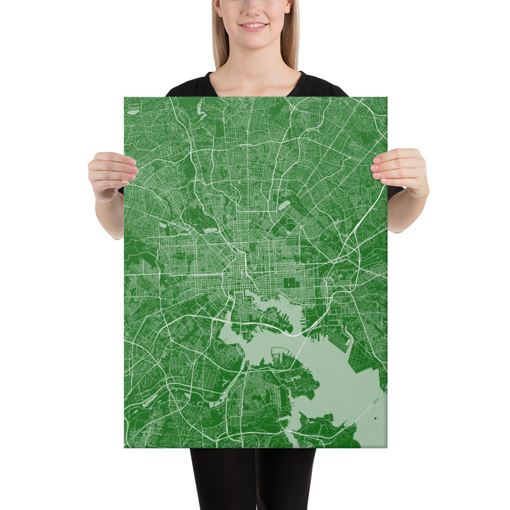 Baltimore Green and White Canvas Map