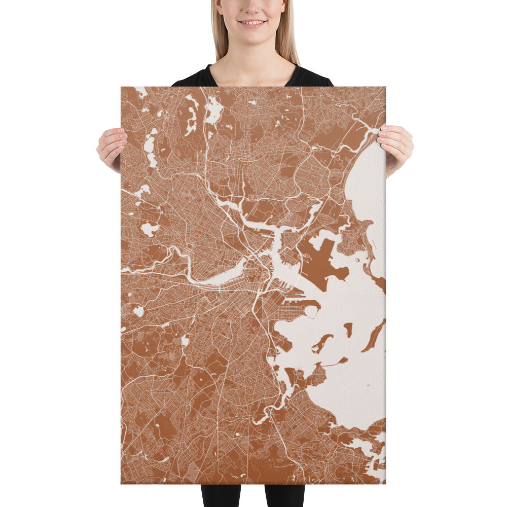 Boston Brown and White Canvas Map