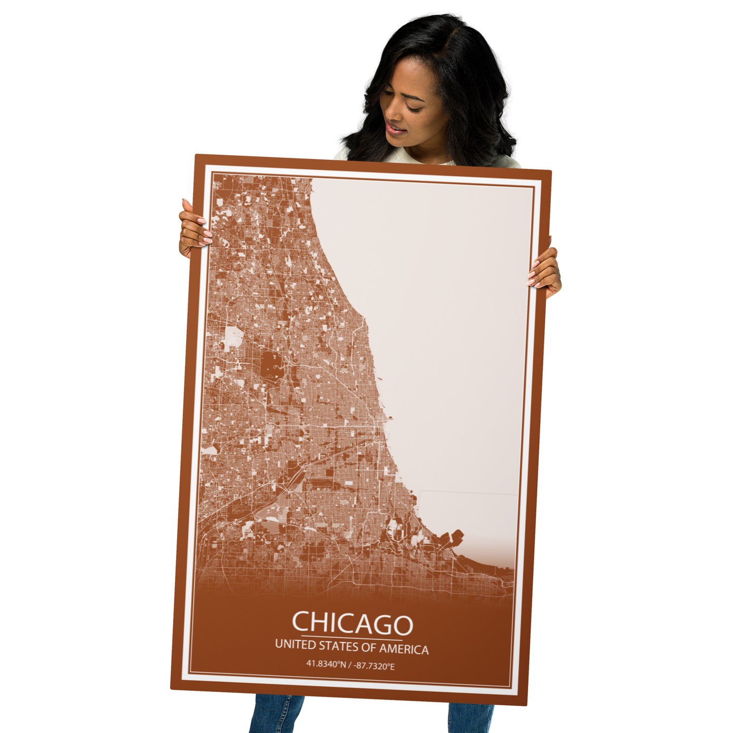 Chicago Brown and White Metal Map