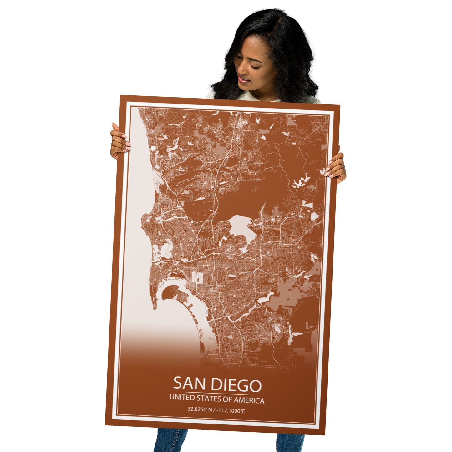 San Diego Brown and White Metal Map