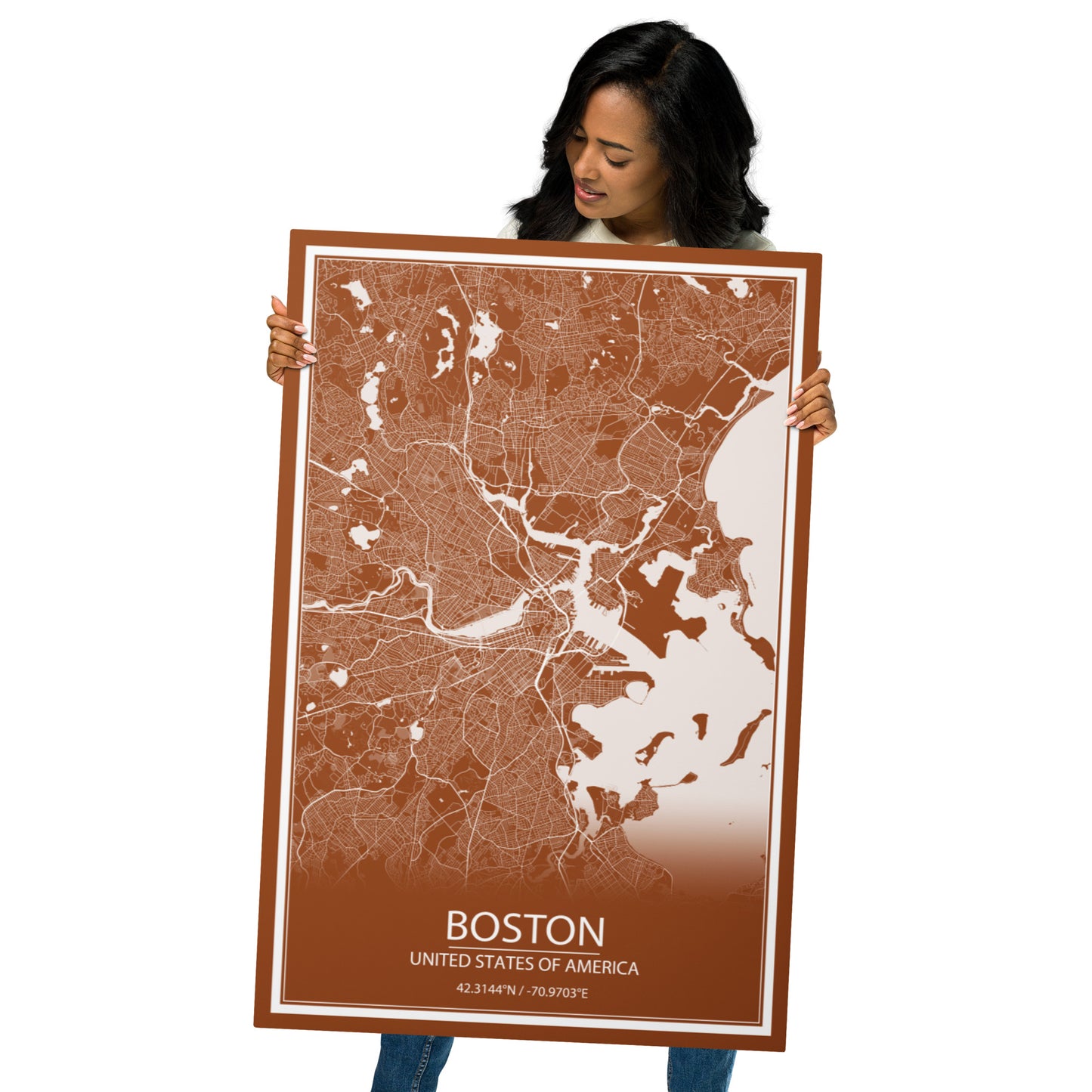 Boston Brown and White Metal Map