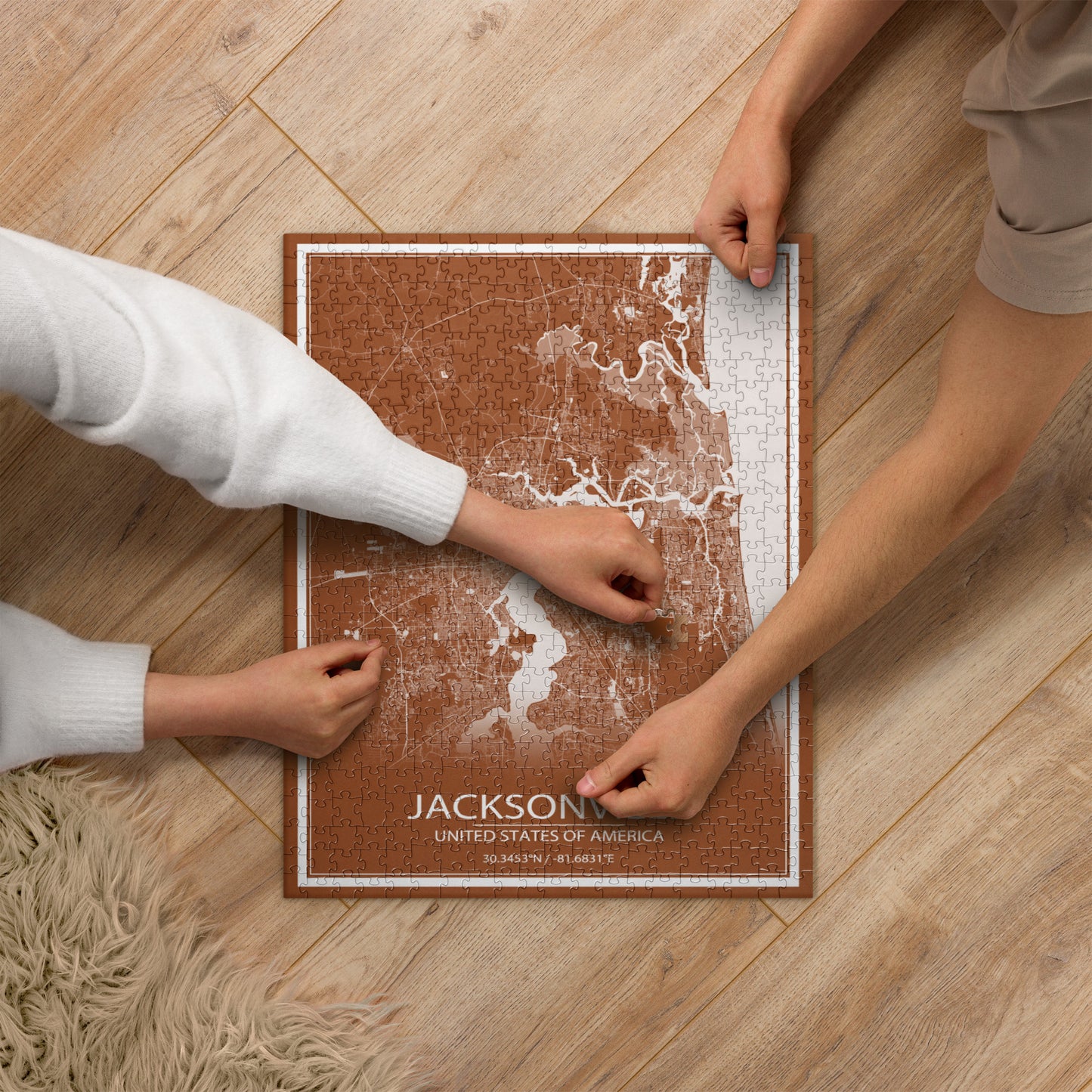 Jacksonville Brown and White Map Jigsaw Puzzle