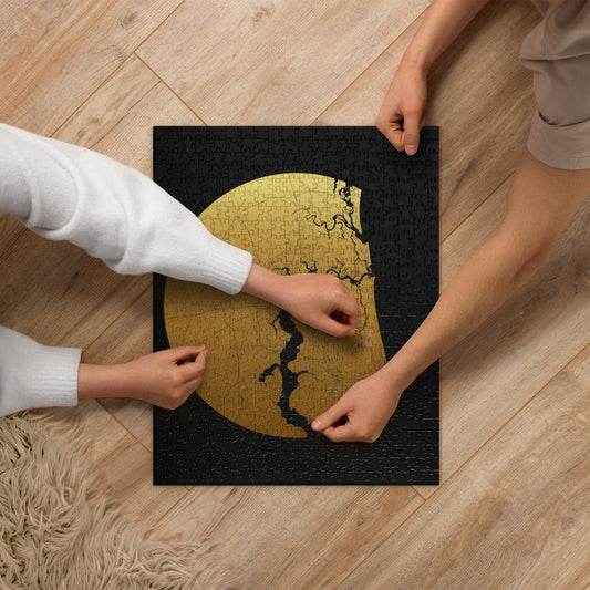 Jacksonville Gold on Black Map Jigsaw Puzzle