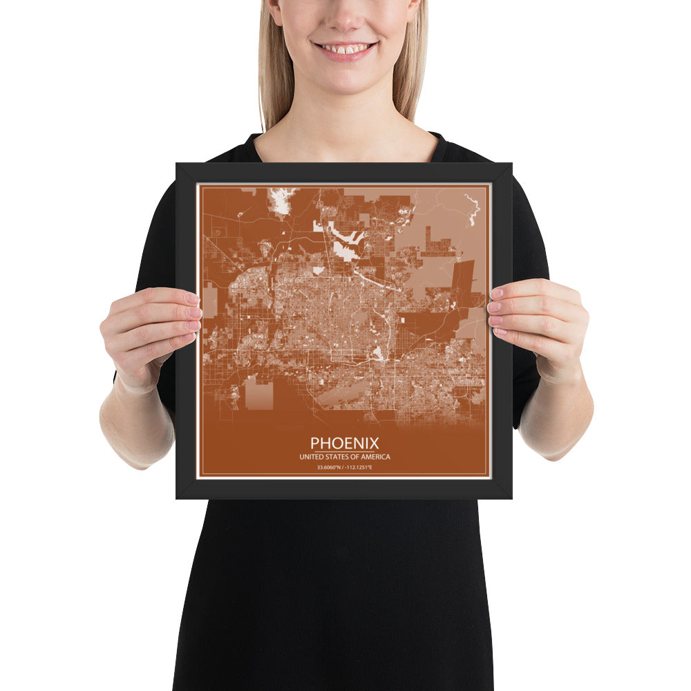 Phoenix Brown and White Framed Map