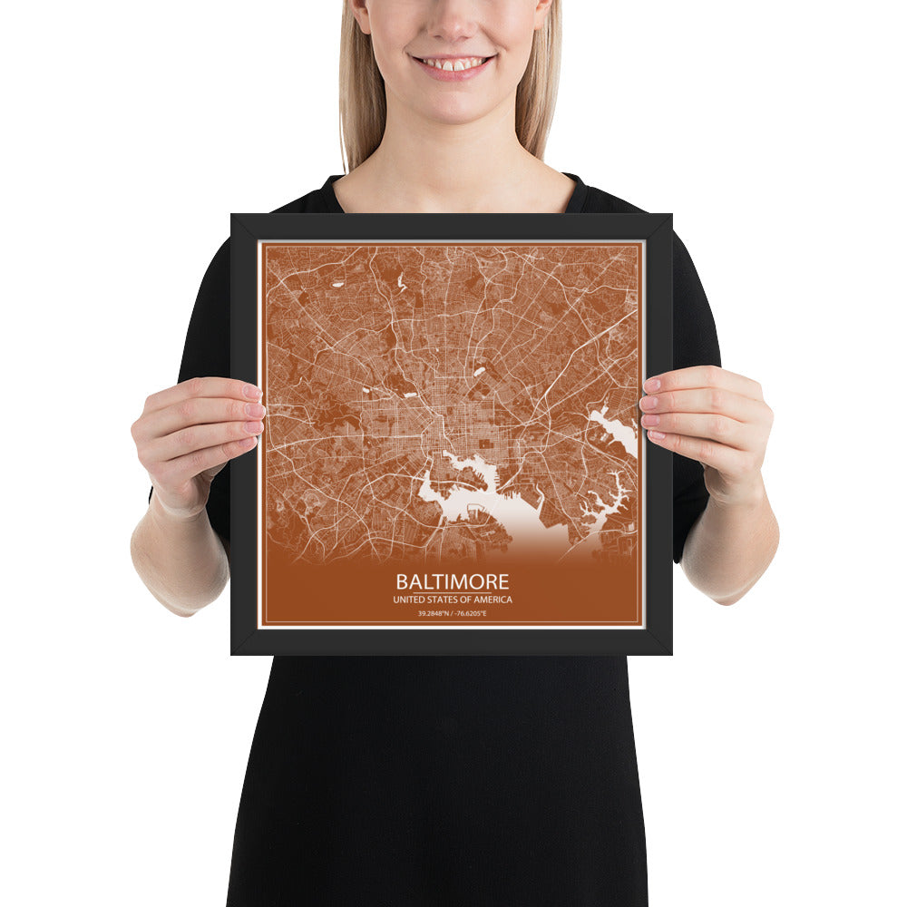 Baltimore Brown and White Framed Map