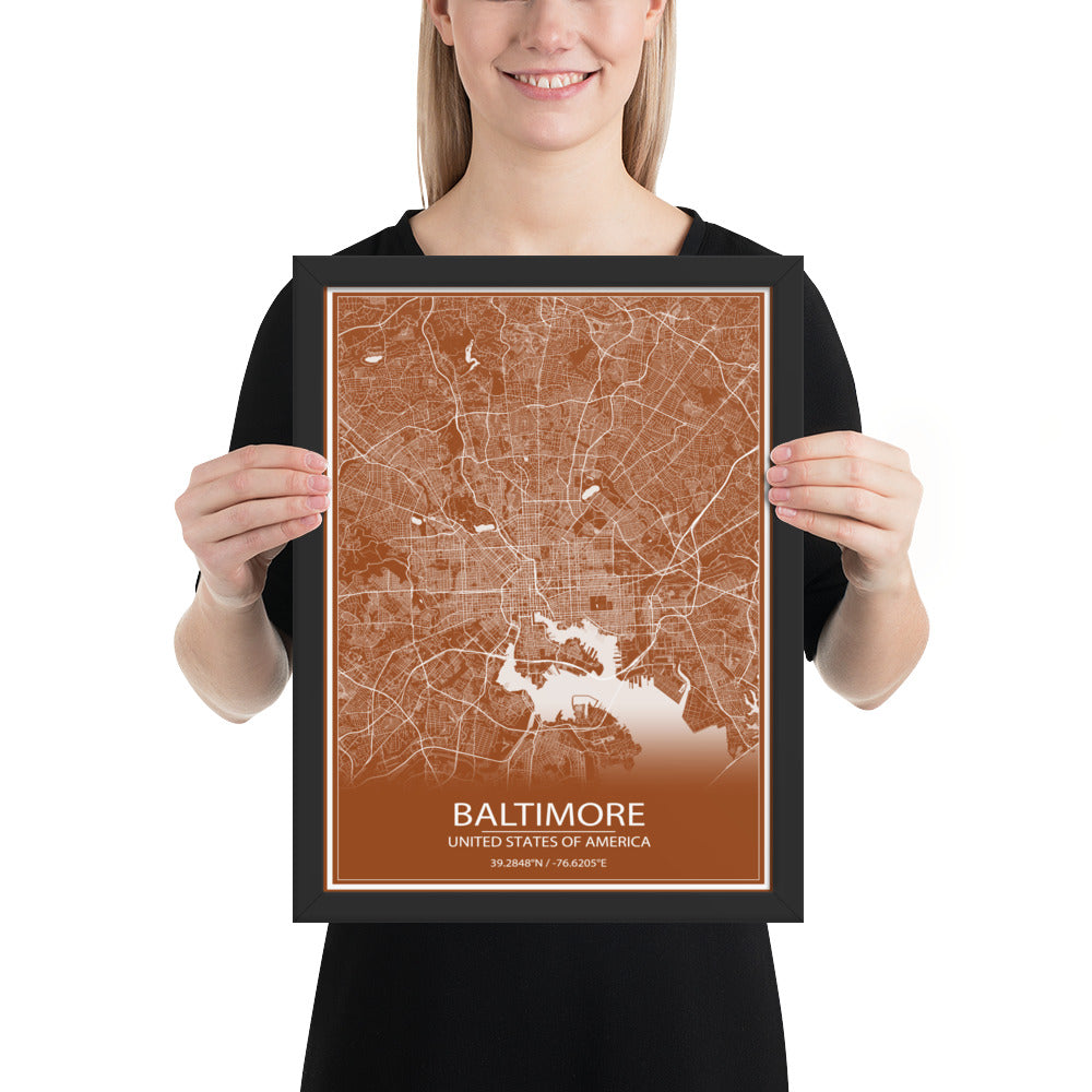 Baltimore Brown and White Framed Map