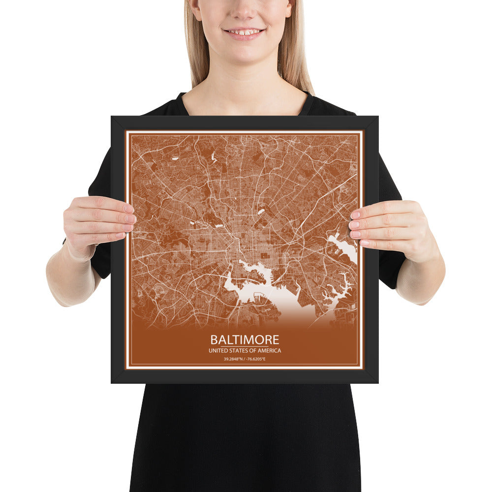 Baltimore Brown and White Framed Map