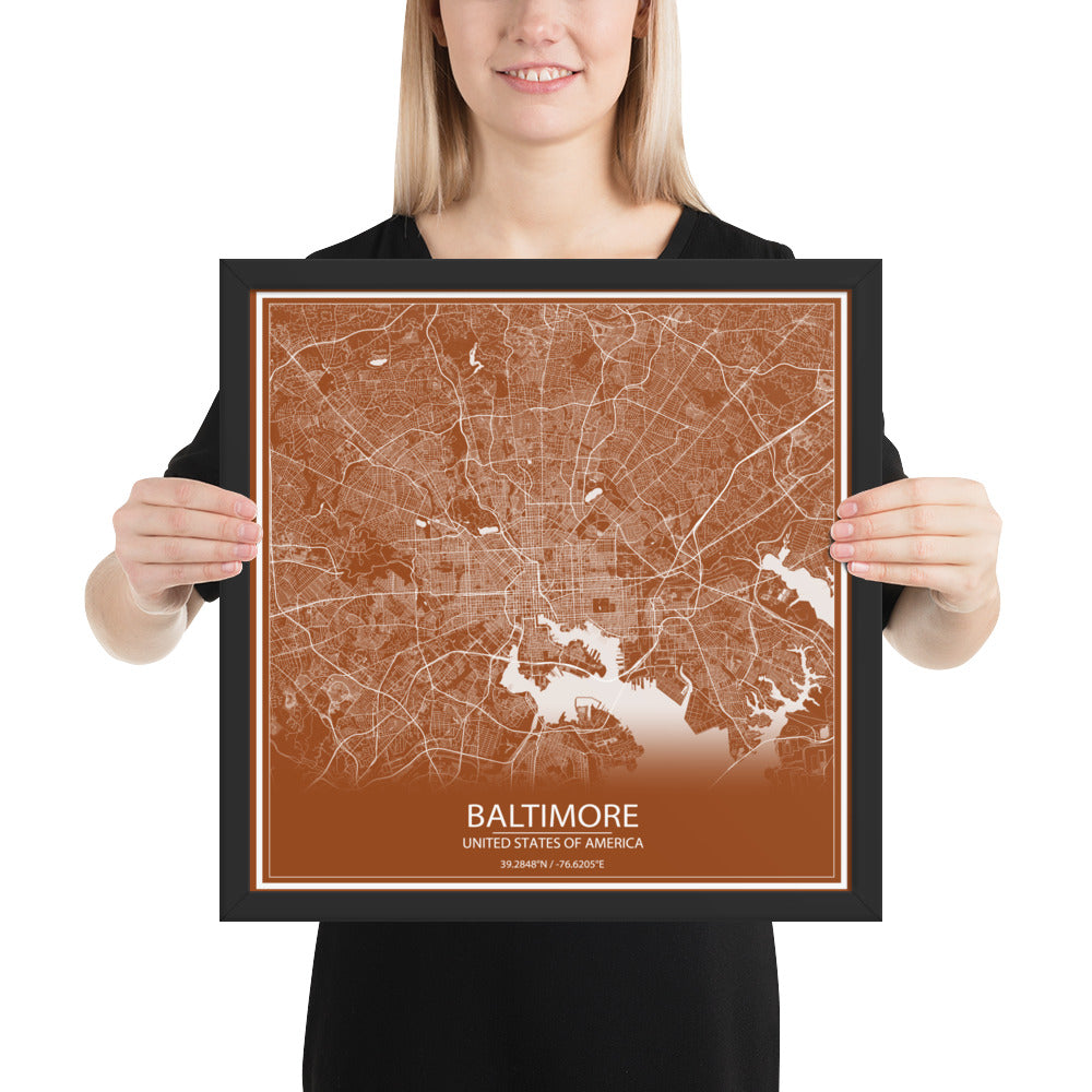 Baltimore Brown and White Framed Map