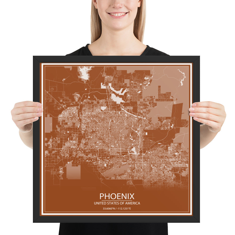 Phoenix Brown and White Framed Map