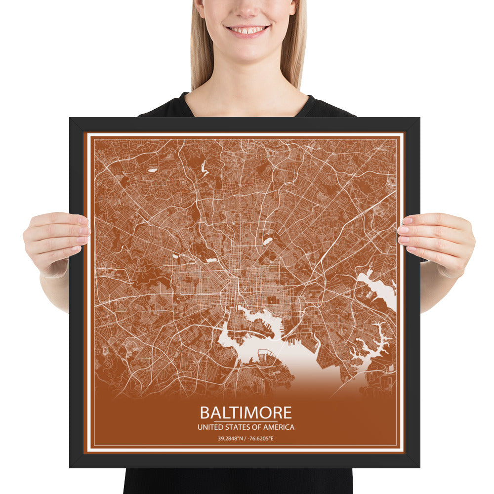 Baltimore Brown and White Framed Map