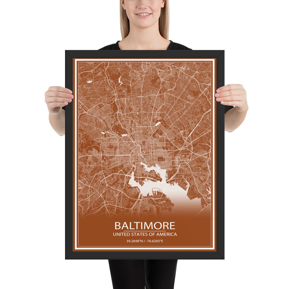 Baltimore Brown and White Framed Map