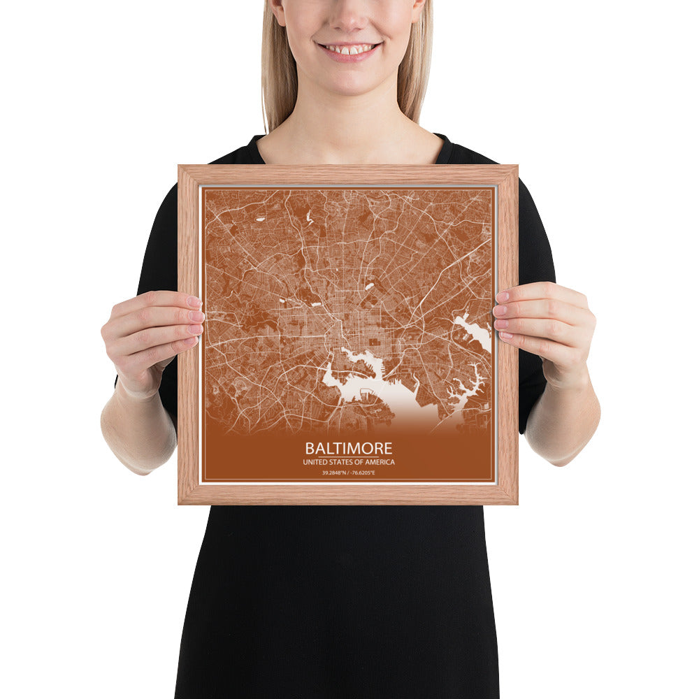 Baltimore Brown and White Framed Map