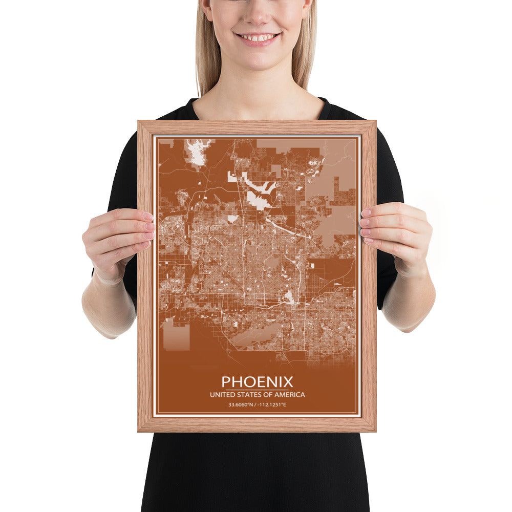 Phoenix Brown and White Framed Map