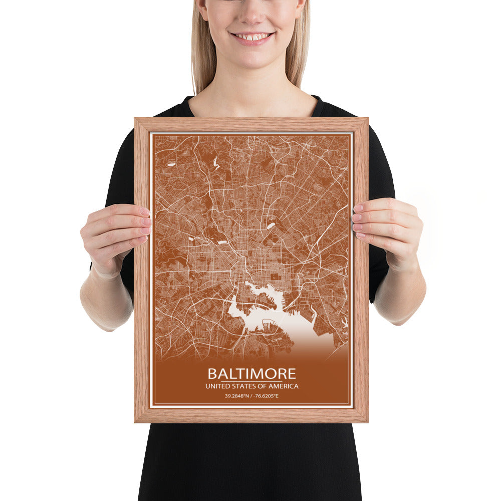 Baltimore Brown and White Framed Map