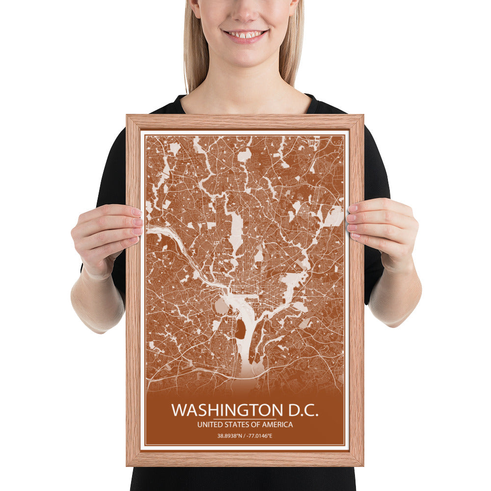 Washington, D.C. Brown and White Framed Map