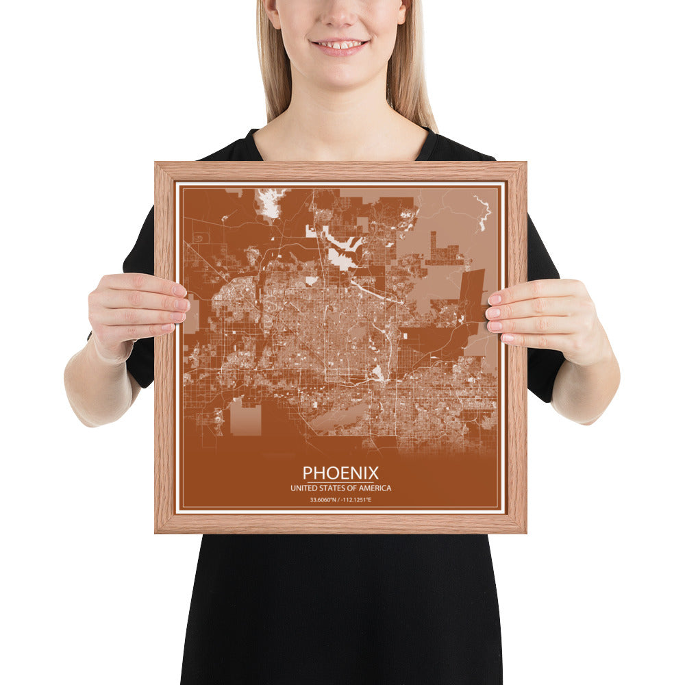 Phoenix Brown and White Framed Map