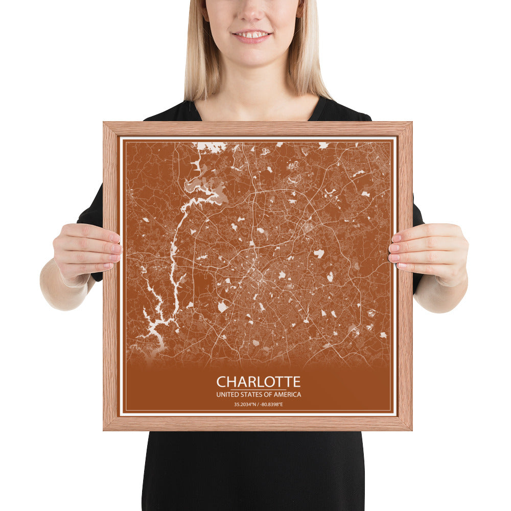 Charlotte Brown and White Framed Map