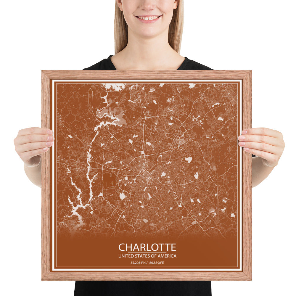 Charlotte Brown and White Framed Map