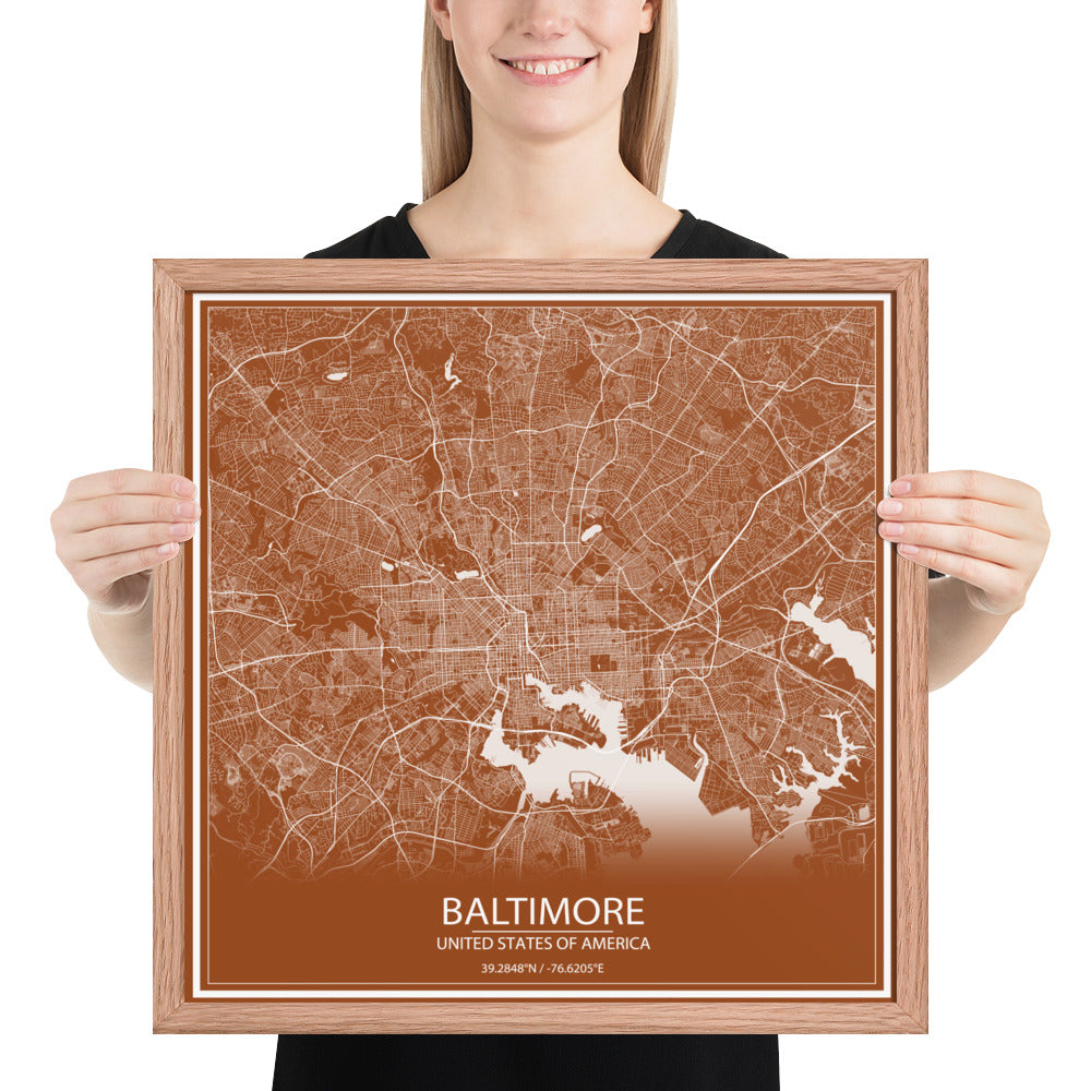 Baltimore Brown and White Framed Map