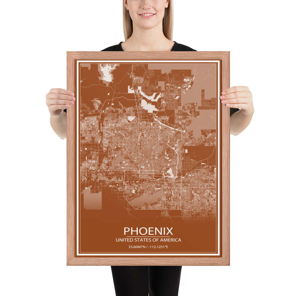 Phoenix Brown and White Framed Map