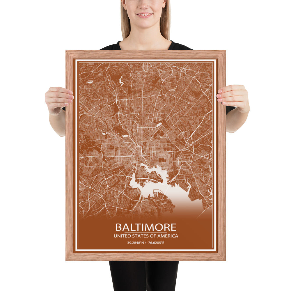 Baltimore Brown and White Framed Map