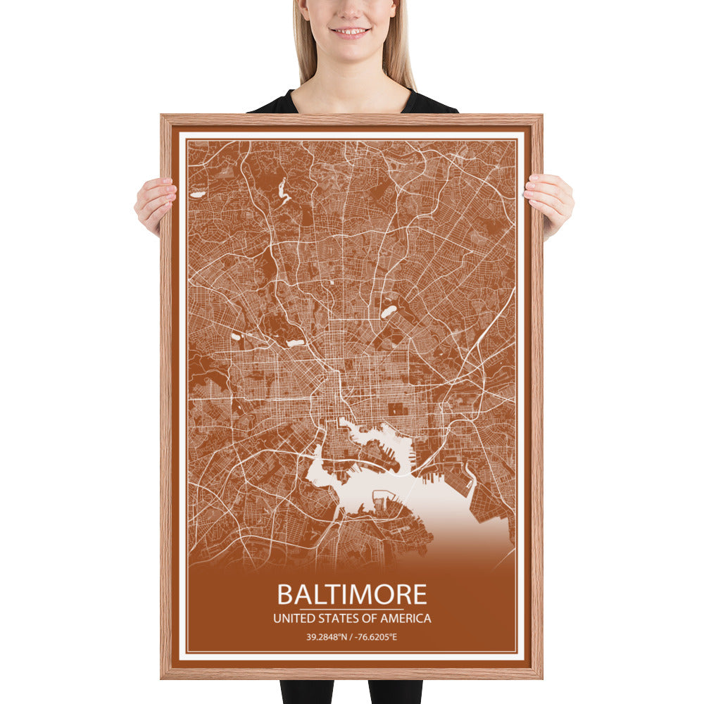 Baltimore Brown and White Framed Map