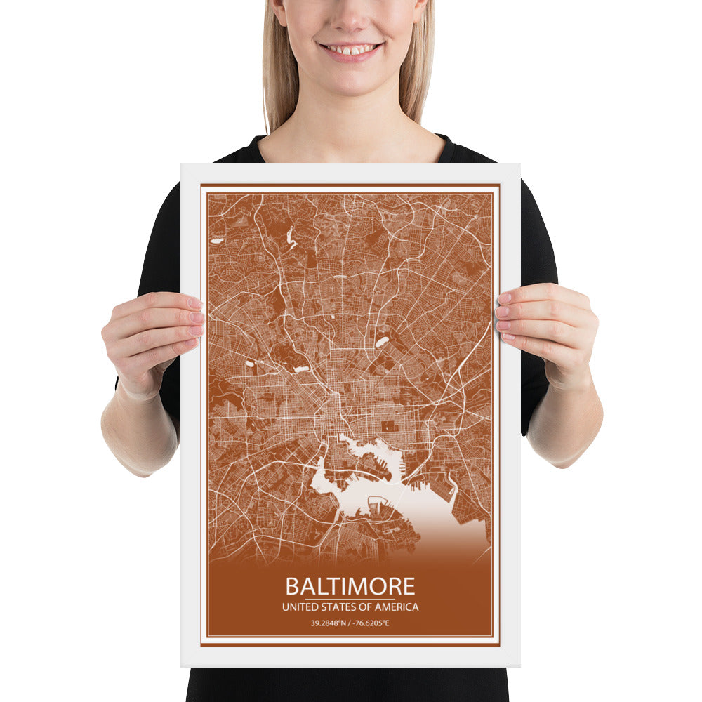 Baltimore Brown and White Framed Map