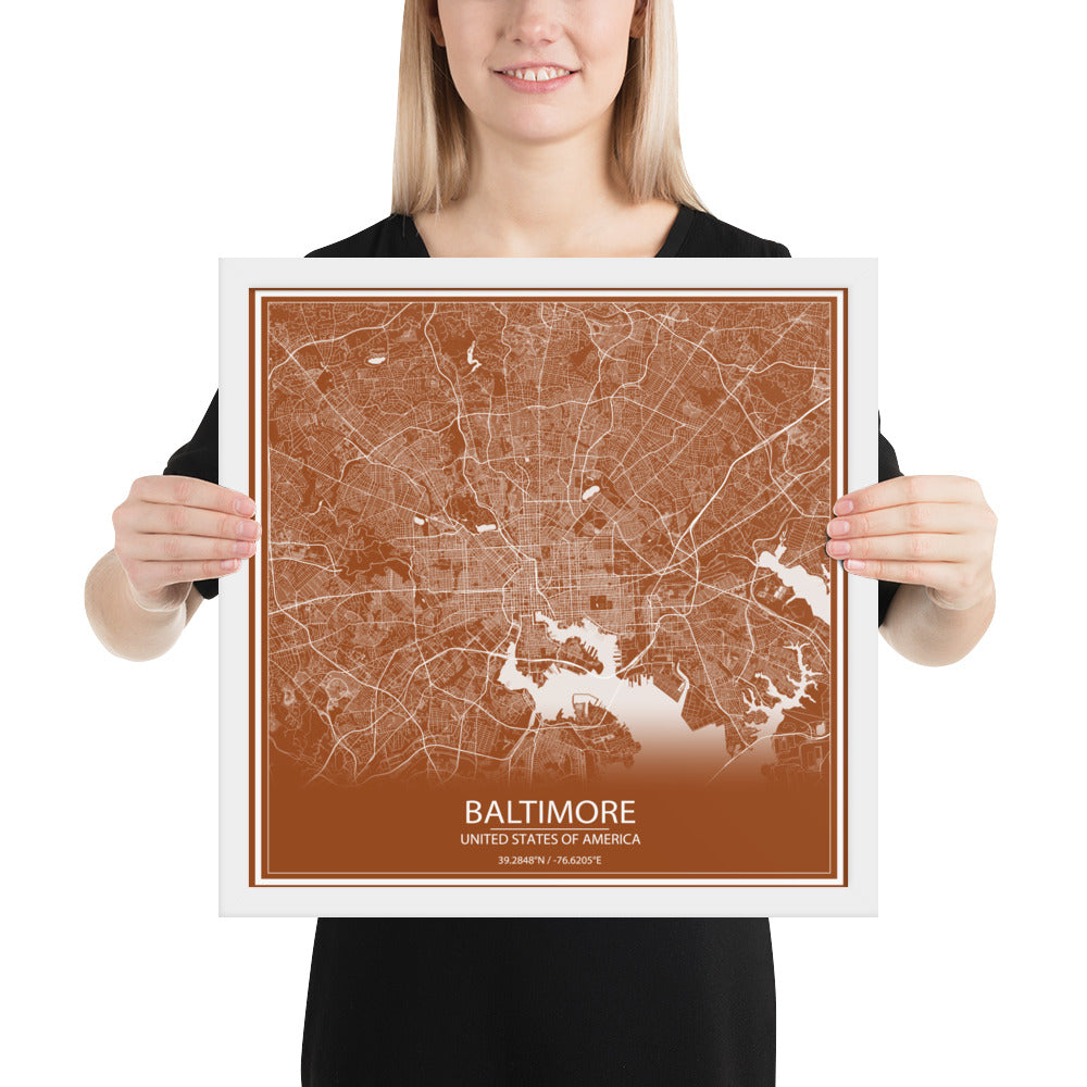 Baltimore Brown and White Framed Map