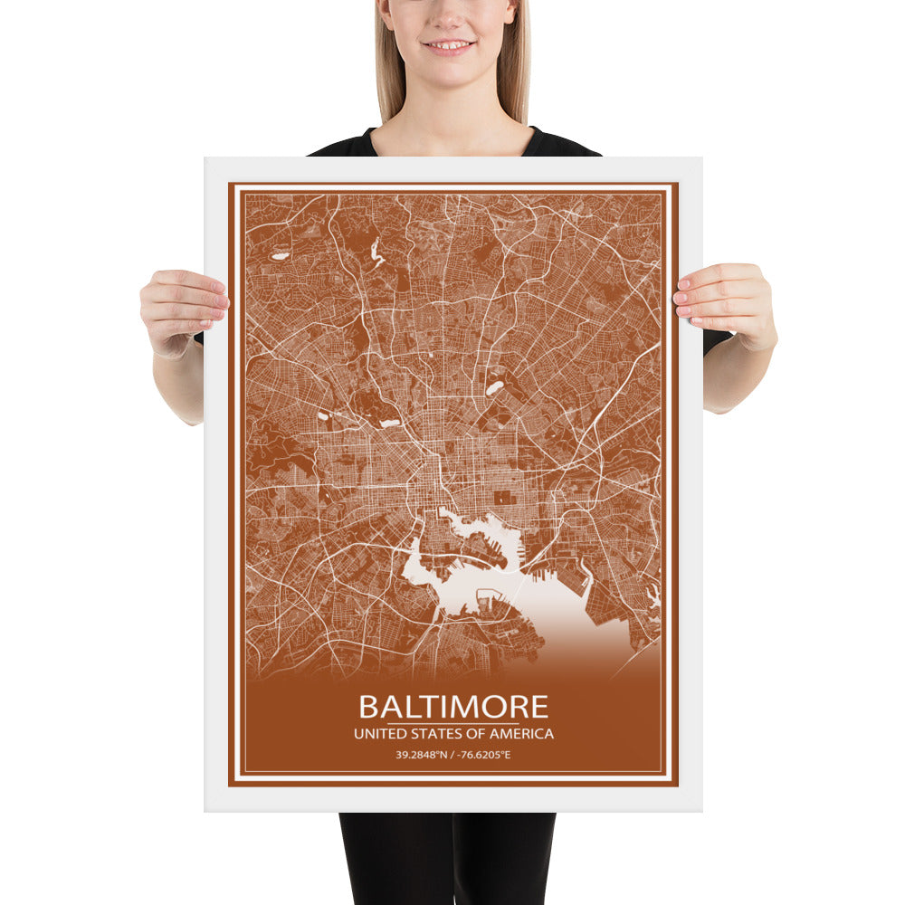 Baltimore Brown and White Framed Map